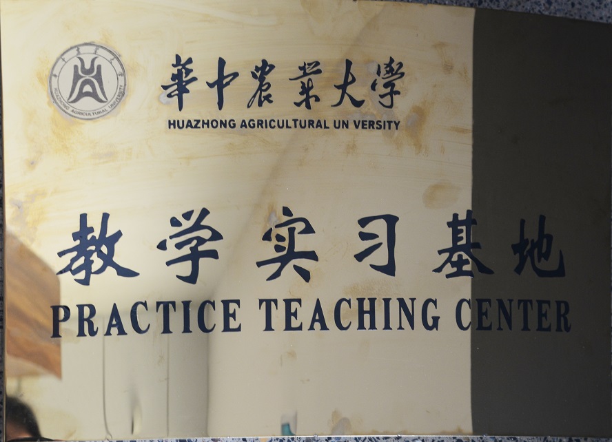 教学实习基地